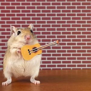 Meet your Posher, Meredith